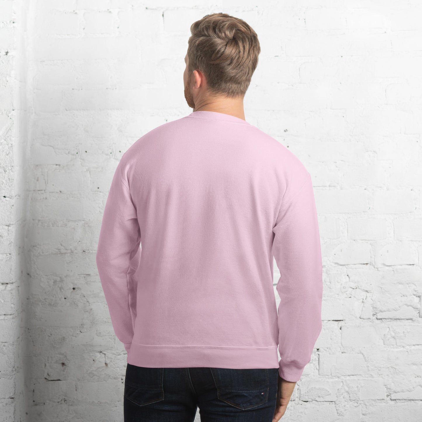Seitan Limania Embroidered Unisex Sweatshirt (LB/SG/LP/W)